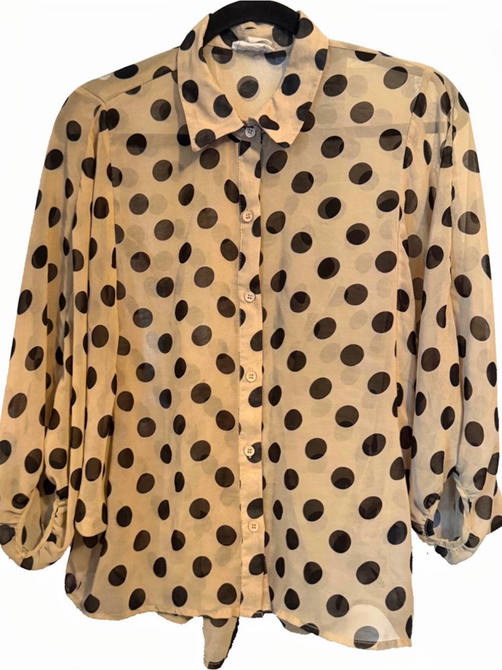 Sans souci- Shear Polka Dot High-Lo Blouse with Cinched Back- L